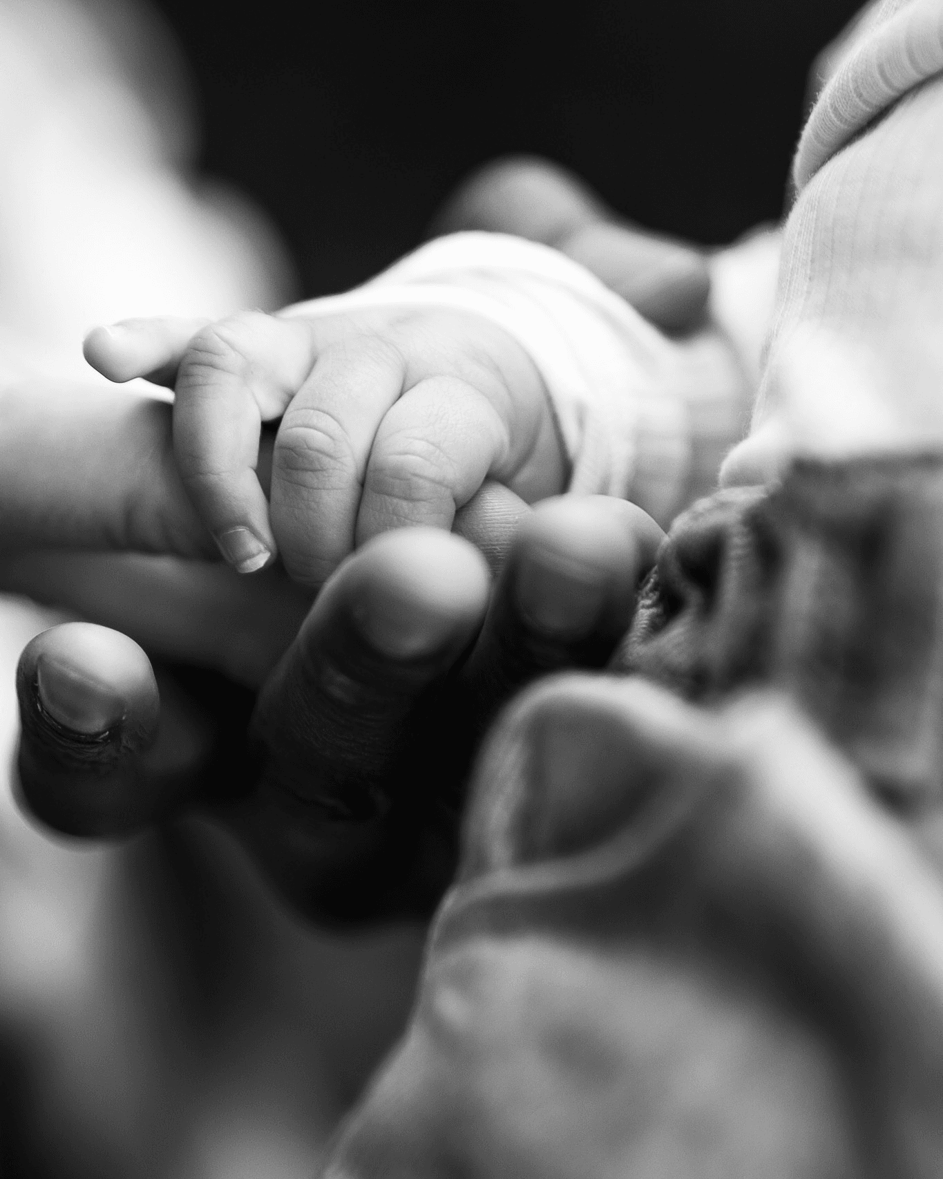 FAMILLE-DORINOUM.jpg